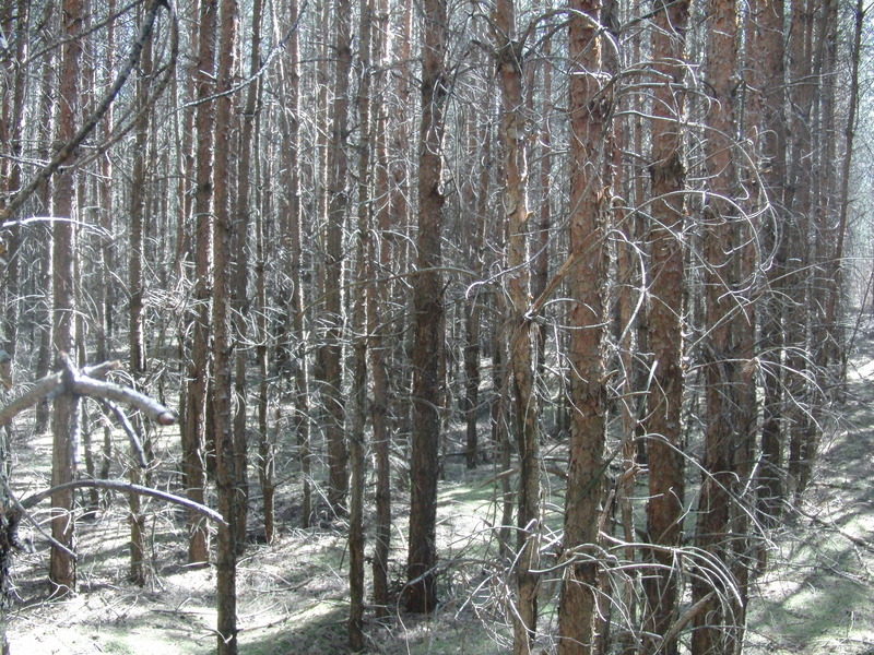 South