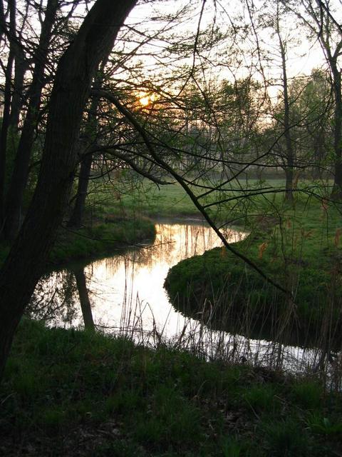 The Spreewald