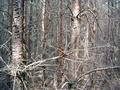 #2: Nord / North