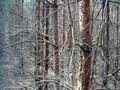 #5: West