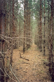 #1: General view of the confluence (towards NE)