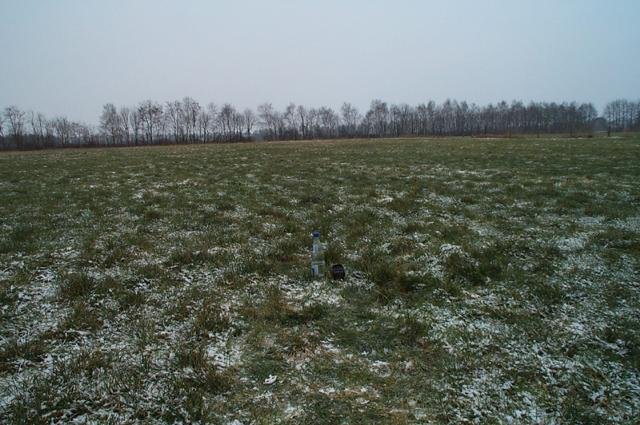 View north