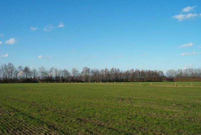 View from the confluence / Blick vom Confluence Punkt