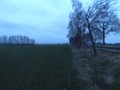 #2: East