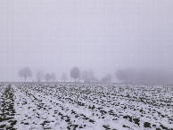 #4: SOUTH