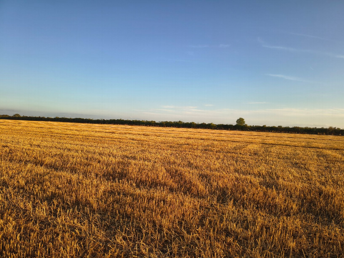 south