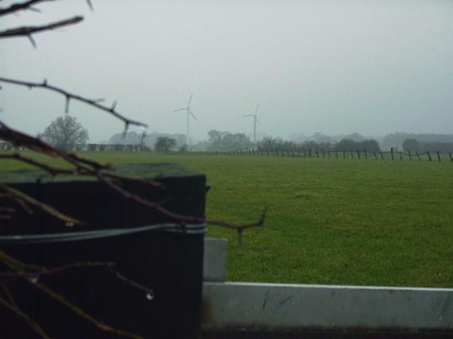 Windfarm