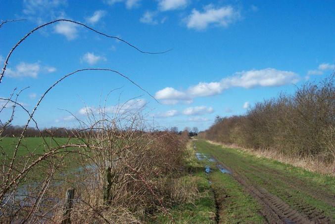 The way to the confluence point / Der Weg zum Confluence Punkt