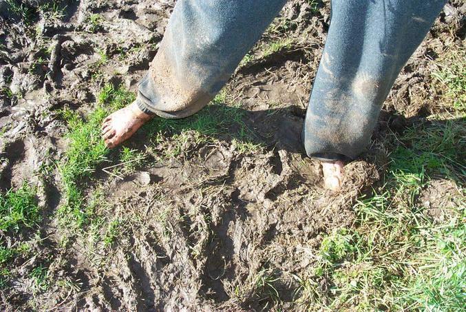 The mud which prevented a closer visit