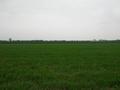 #2: View north / Blick nach Norden