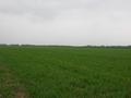 #3: View east / Blick nach Osten