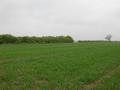 #5: View west / Blick nach Westen
