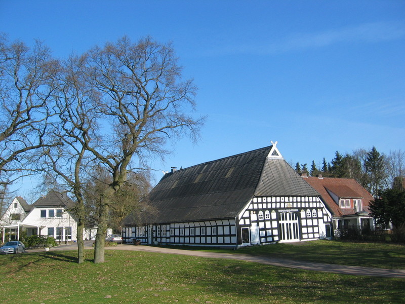 Beautiful timbered house