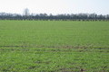 Visit #7: [20-Mar-09]