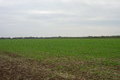 Visit #8: [03-Oct-09]