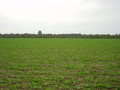 #4: View from the DCP to E