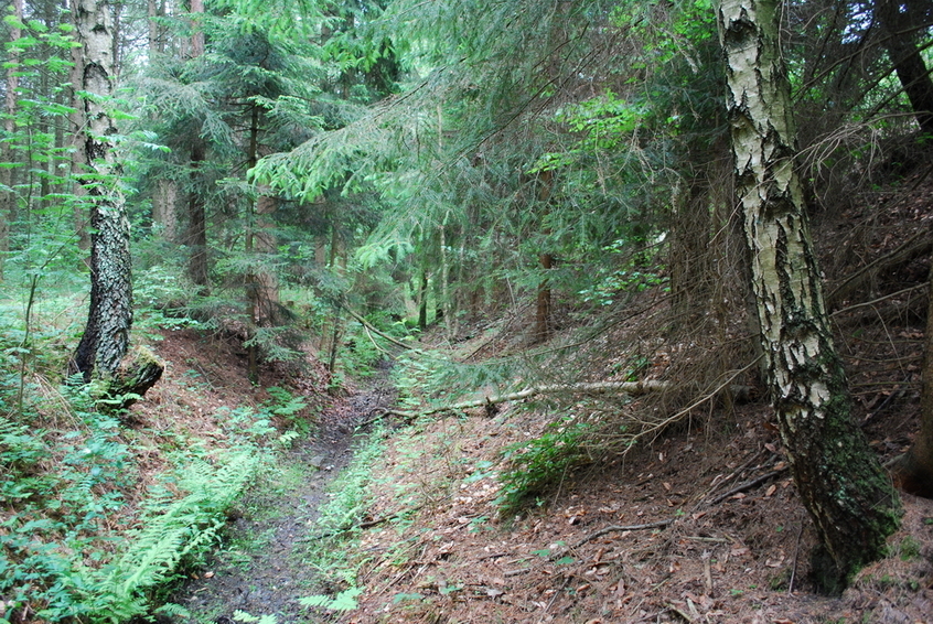 View to South