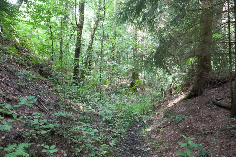northward view