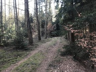 #7: View to the south from the confluence.