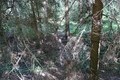 Visit #18: [05-Aug-20]