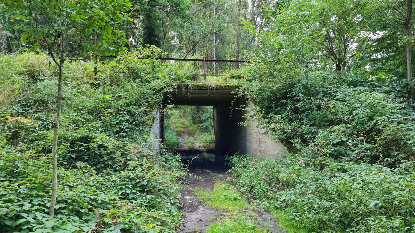 Railroad underpass, view from the south