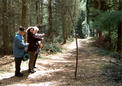#5: The stick? There is the right point!