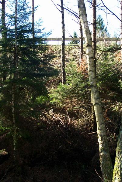 View back to the road / Blick zurück zur Straße