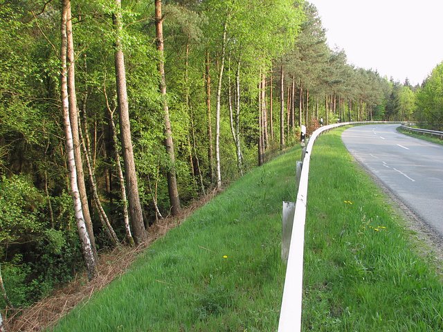 The road K36 passing less than 10 m from the Confluence. The point is approx. in the picture's centre, down the slope and among the trees