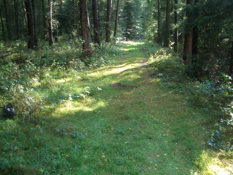 Looking South to the confluence of 53° North and 10° East