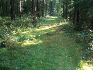 #1: Looking South to the confluence of 53° North and 10° East