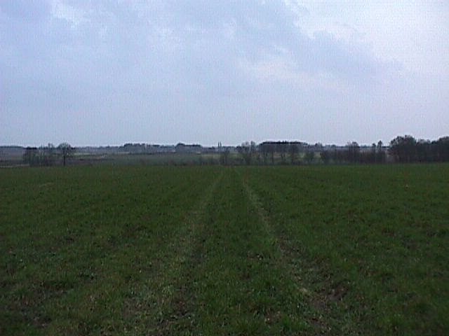 View to South