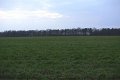 #4: View to West