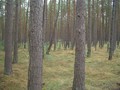 #2: Looking North
