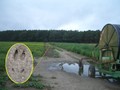#7: Through the fields