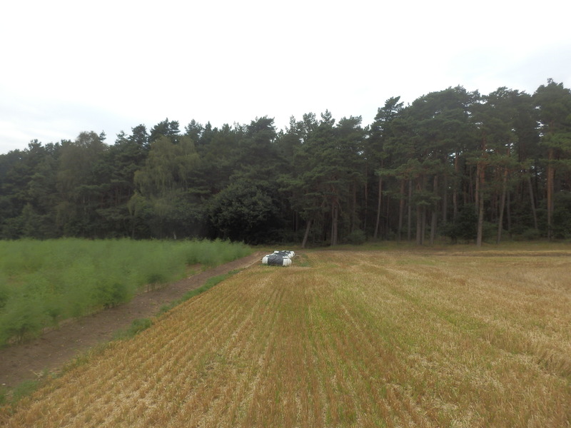 View to the Confluence from 200 m