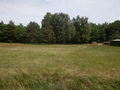 #5: View to the East