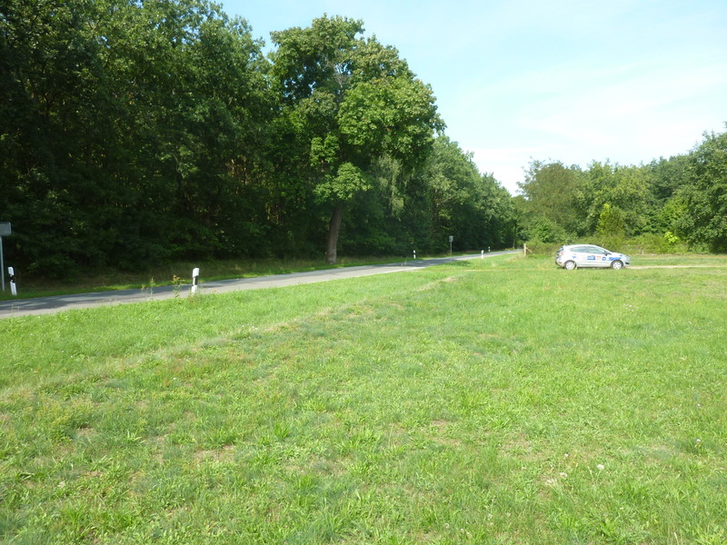 View North