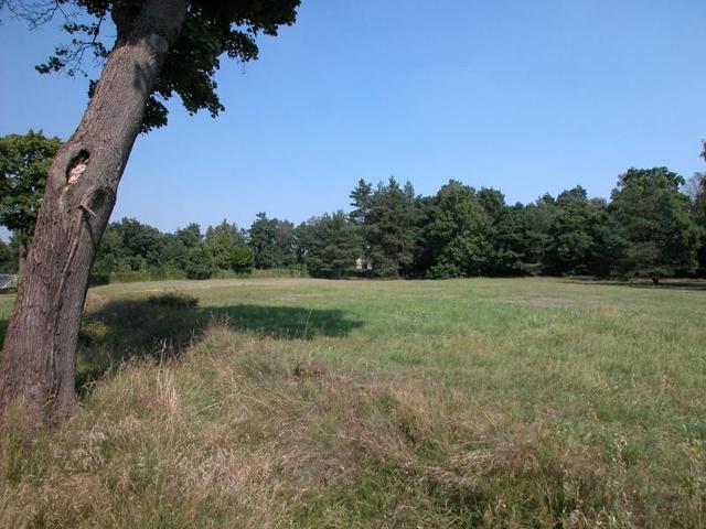 View from the confluence / Aussicht vom Confluence Punkt