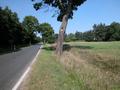 #7: View from the confluence / Aussicht vom Confluence Punkt