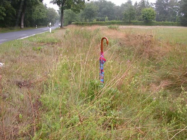 Umbrella marks the Confluence