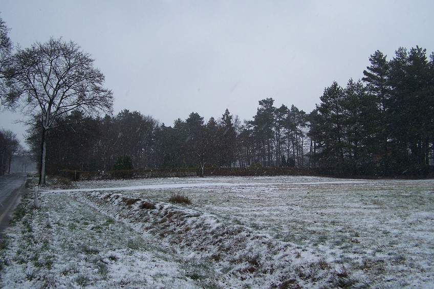 General view of the confluence (towards NE)