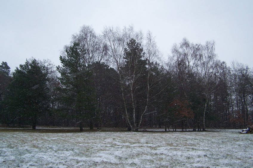 View towards E from the confluence