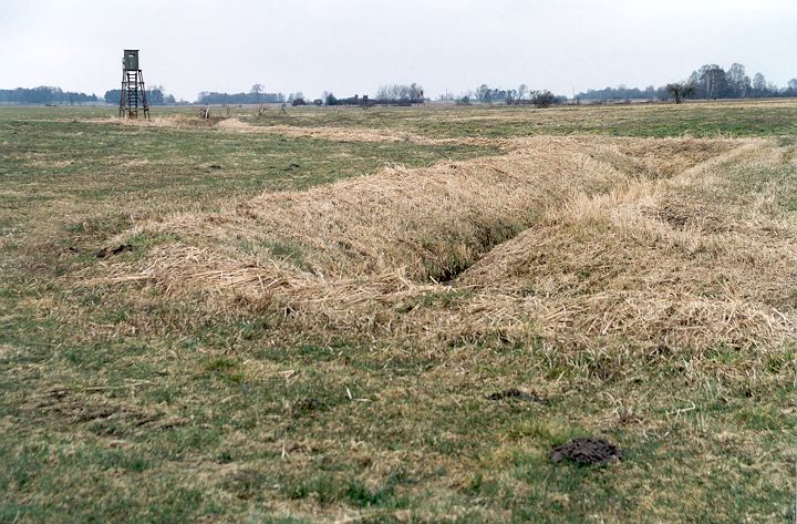 View NE from CP, hunter’s tower, water ditches, meadows