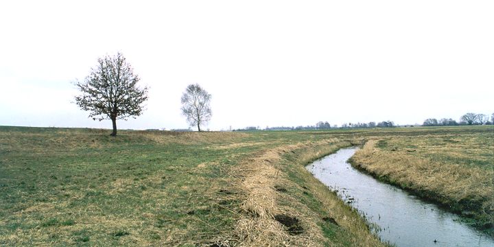 CP side of the water ditch CP 150m ahead, view E