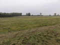#6: West view