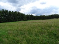 #5: West