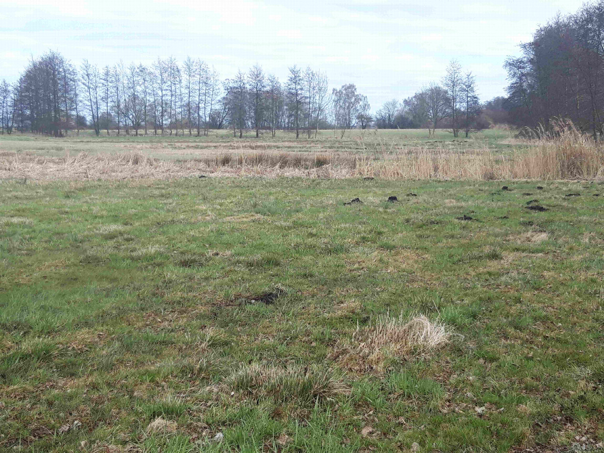 Approaching the CP crossing the ditch