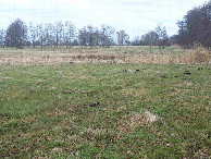 #6: Approaching the CP crossing the ditch