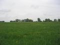 #10: View to the East