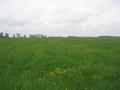 #9: View to the North